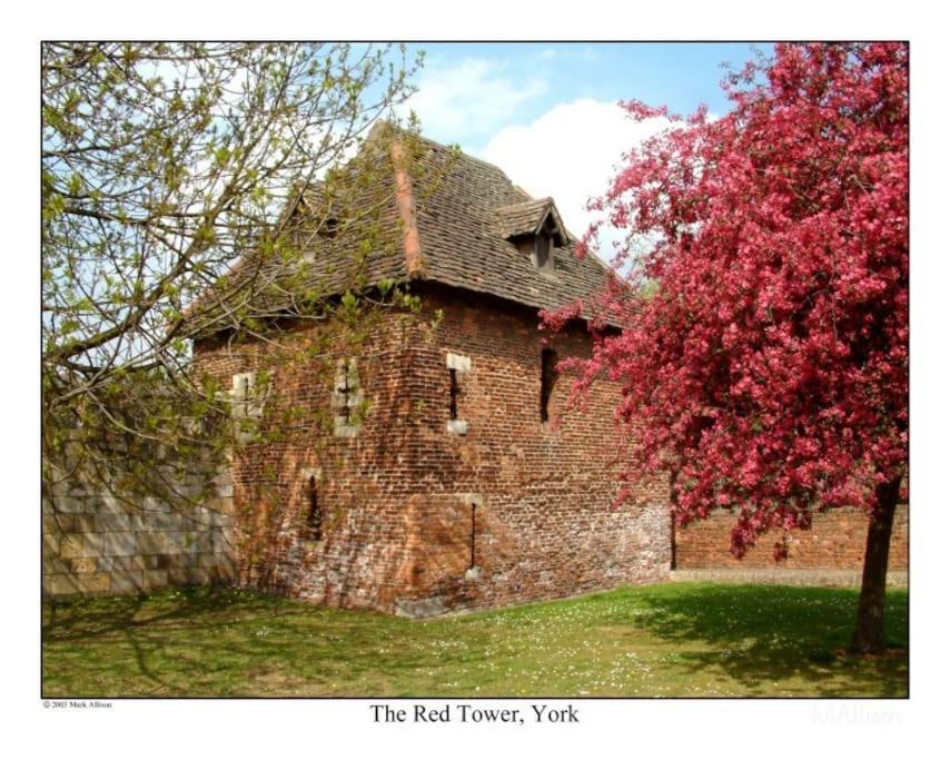 With Free Parking, 10 Min Walk To Bar Walls York